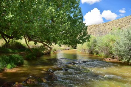 Capitol Reef: Fruita & Fremont River Trail – The Adventures of Trail ...