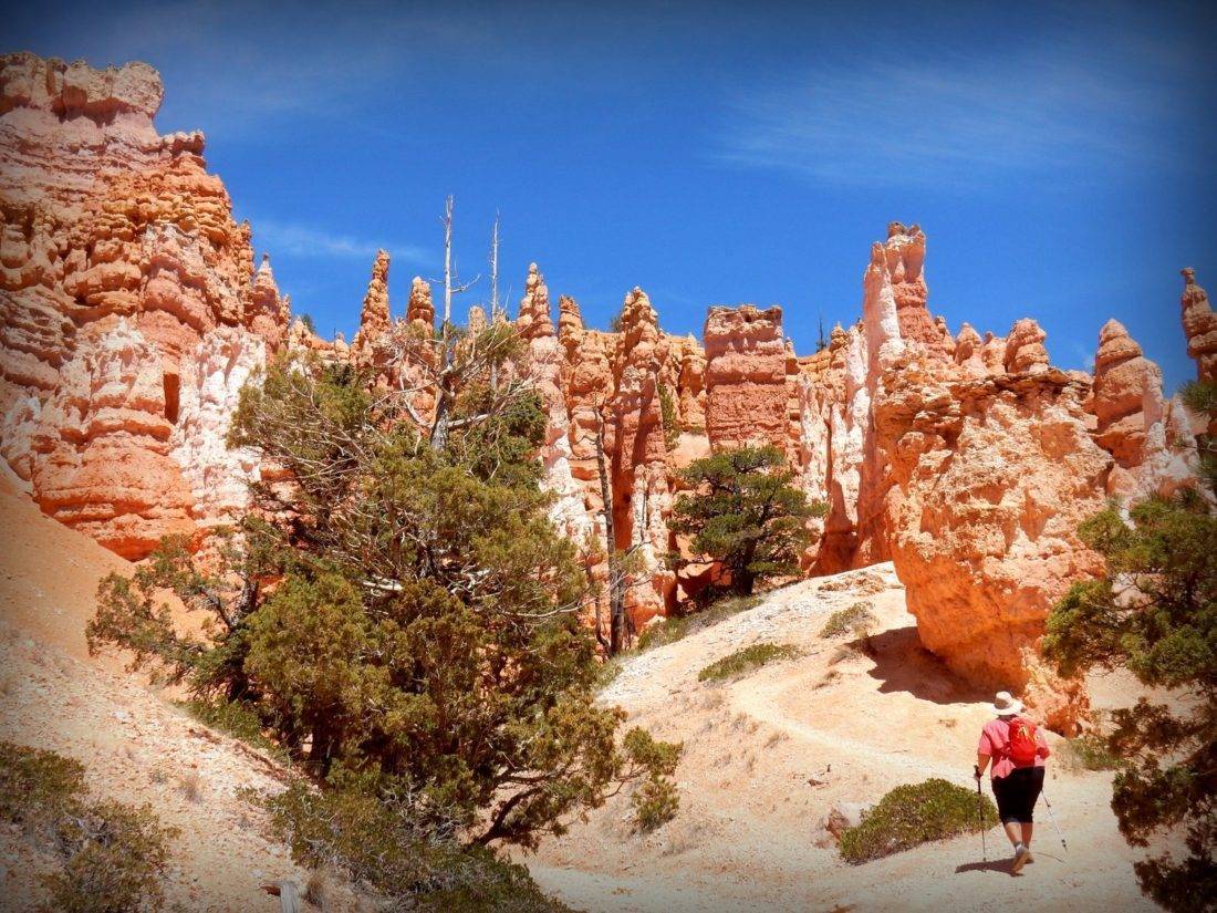 Bryce Canyon National Park: Queen’s Garden and Navajo Loop Combo – The ...