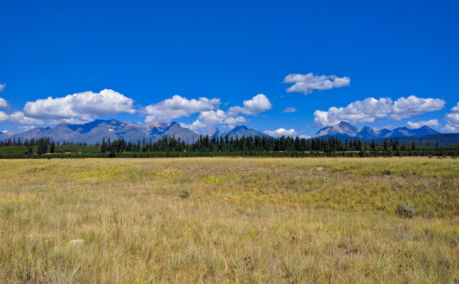 Glacier National Park: North Fork – The Adventures of Trail & Hitch