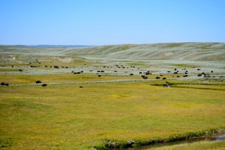 Canyon District in Yellowstone National Park – The Adventures of Trail ...