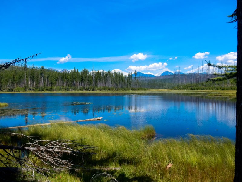 Howe Lake - The Adventures of Trail & Hitch