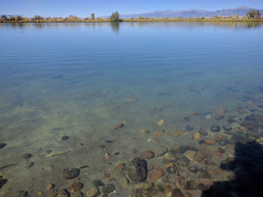 Blanca Wetlands Clear Blue Pond