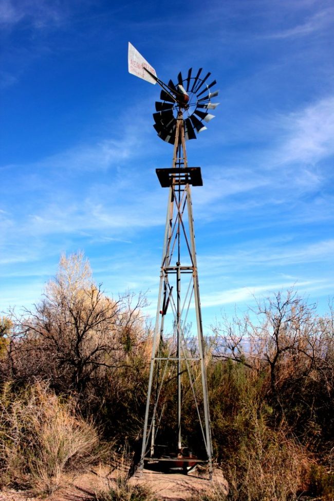 Big Bend National Park: Western Desert – The Adventures of Trail & Hitch